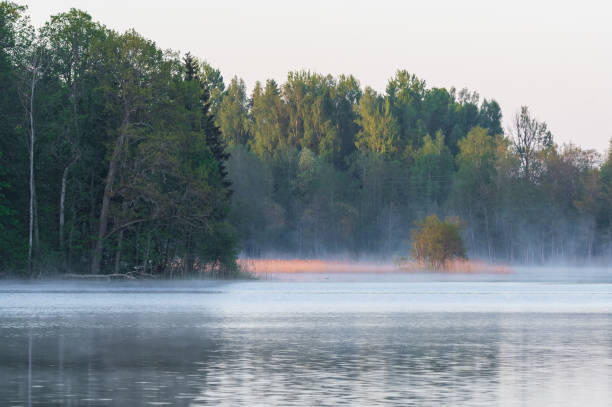 istock Morning mist on calm lake surface 1757861794
