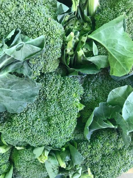 istock closeup of a broccoli. Vegetables 1757862388
