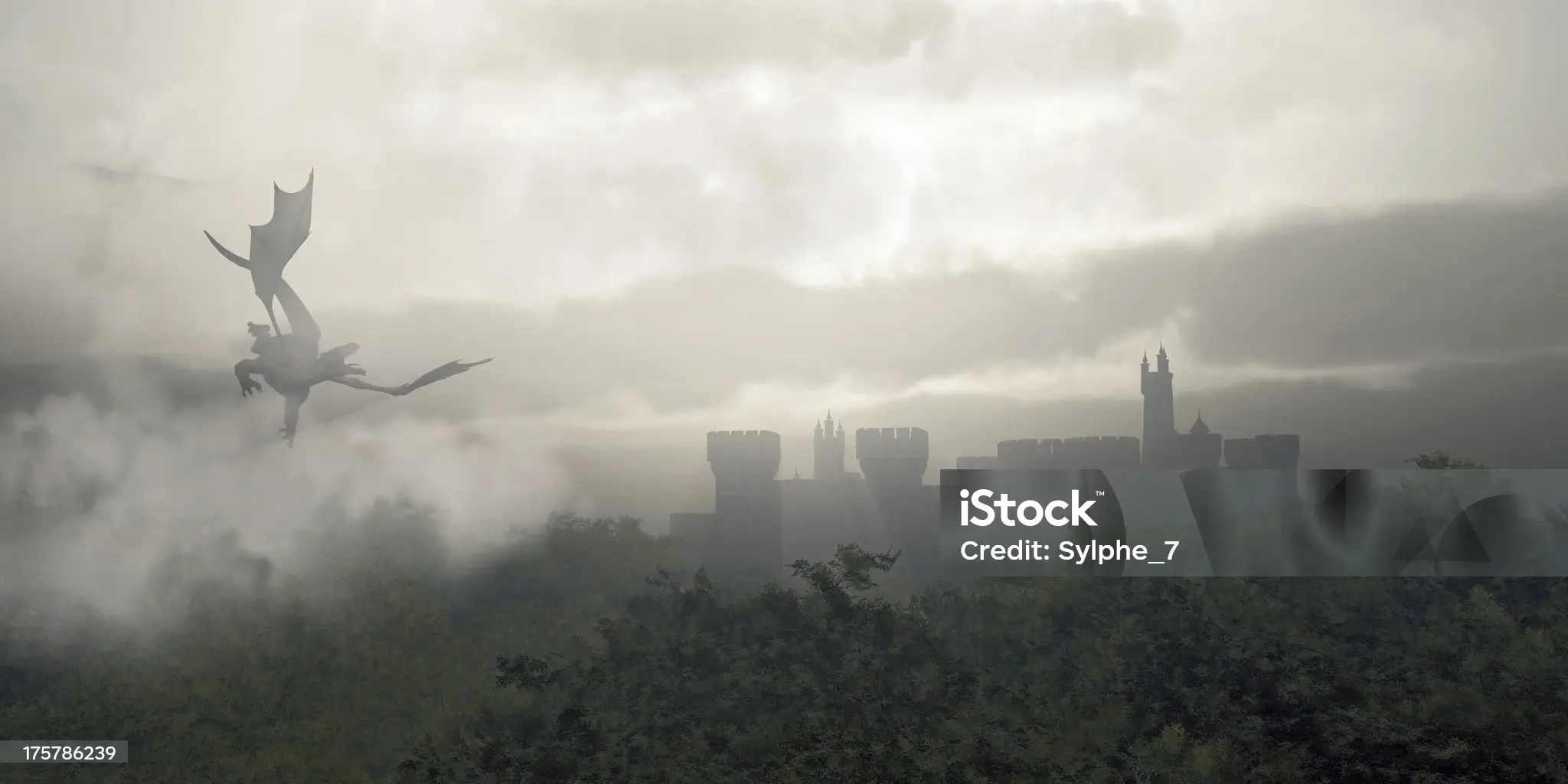 Dragon flying over a castle in a misty fantasy forest, 3d digitally rendered illustration by Algol Designs