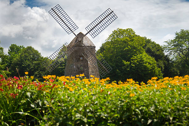 Scenic old fashioned windmill amidst a field of flowers Landmark windmill at Water Mill Long Island, NY the hamptons photos stock pictures, royalty-free photos & images