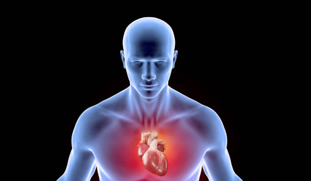 istock Human skeleton with heart pain highlights 1757869535