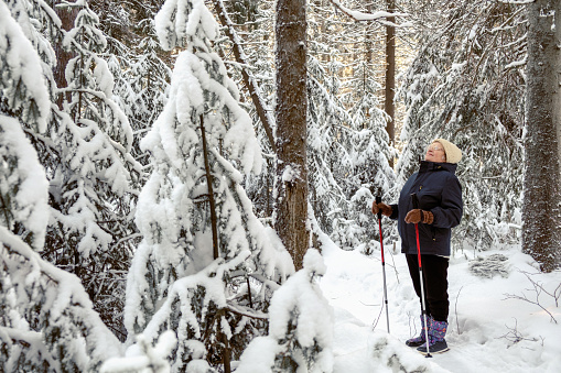 Senior elderly woman training Nordic walking with ski trekking poles in a snowy forest.Active rest outdoors of mature people.Healthy lifestyle concept.