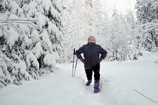 Senior elderly woman training Nordic walking with ski trekking poles in a snowy forest.Woman is warming up before training.Active rest outdoors of mature people.Healthy lifestyle concept.