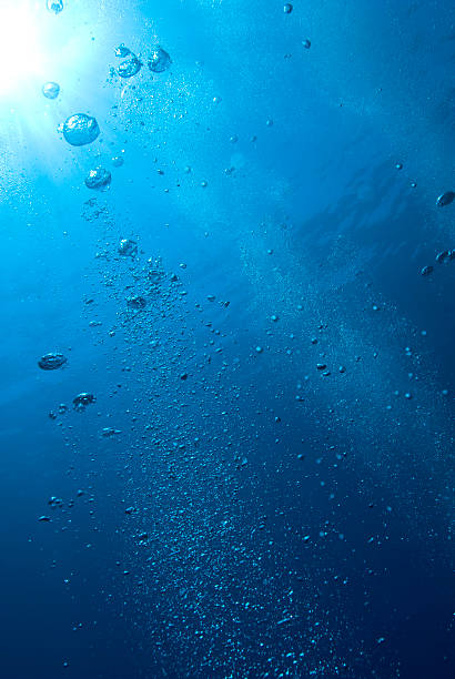 istock Underwater view of air bubbles heading towards the water surface 175788898