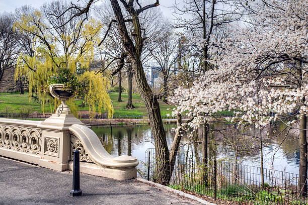 istock Central Park, New York City Bow bridge 175788970