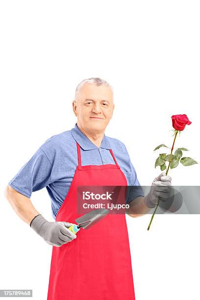 Macho Gardener Segurando Uma Flor E Equipamento De Jardinagem - Fotografias de stock e mais imagens de Adulto