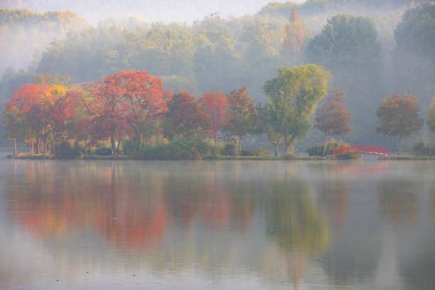 istock Tree lake and auntumn 2 1757911346