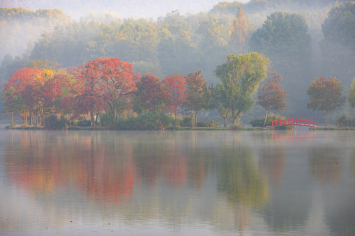 In the early autumn morning, various colors of Chinese tallow trees and the water vapor on the lake form a beautiful picture.