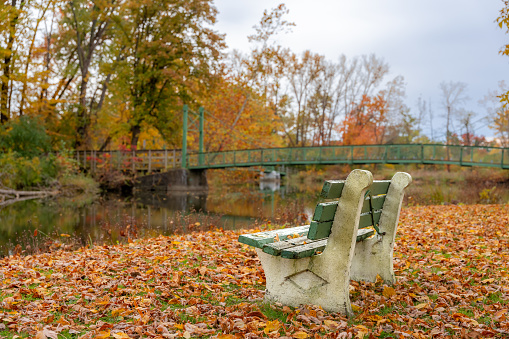 Bench in a park on a beautiful autumn day