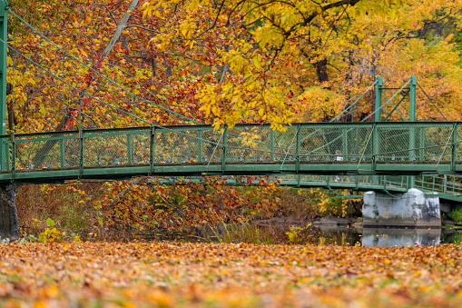 Fall, autumn, photo of the green suspension bridge with trees and leaves in Stewart Park at the south end of Cayuga Lake, Ithaca New York.