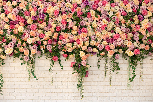 Beautiful decorative colorful roses and peonies on brick white wall. Interior wedding party decor. Wall with curly Flowers. Brick wall with beautiful flowers in room. Summer flowers on wall building.