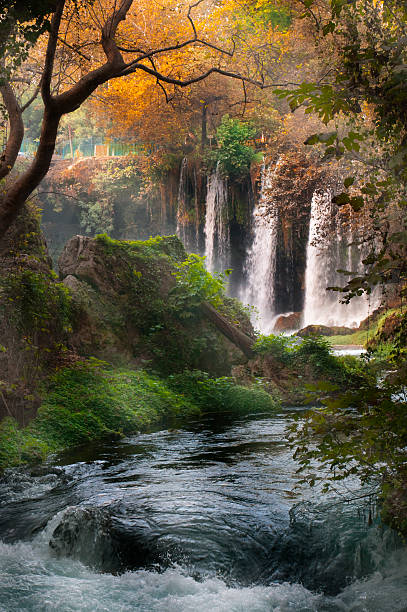 istock Beautiful view with waterfall in the forest 175793027