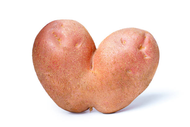 白で隔離された巨大なハート型のジャガイモ - heart shape raw potato food individuality ストックフォトと画像