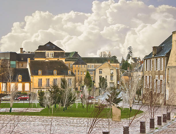 drzewa w parku bayeux. normandia. francja - tkanina z bayeux obrazy zdjęcia i obrazy z banku zdjęć