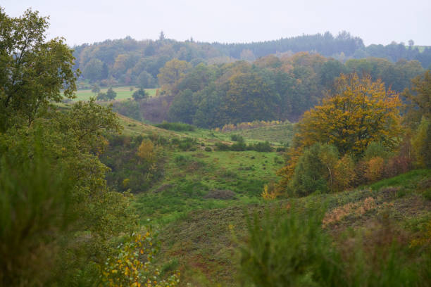 Danish nature Nature reserve in autumn "Svanninge Bakker" green valley denmark stock pictures, royalty-free photos & images