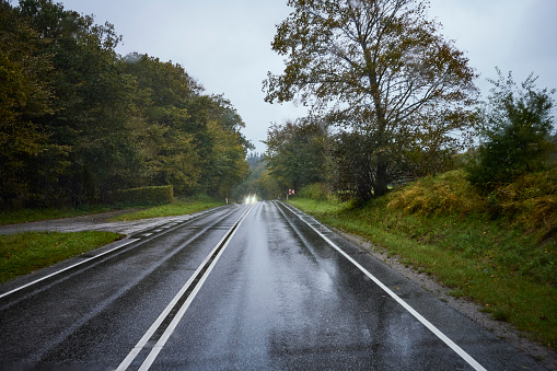 Shiny wet road with dividing line. Overcast and rainy day in October.