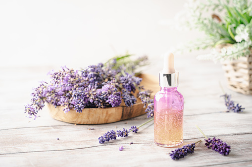 Dropper bottles with lavender cosmetic oil or face serum with fresh lavender flowers on white wooden rustic board. Herbal cosmetics and modern apothecary concept. Lavender beauty products