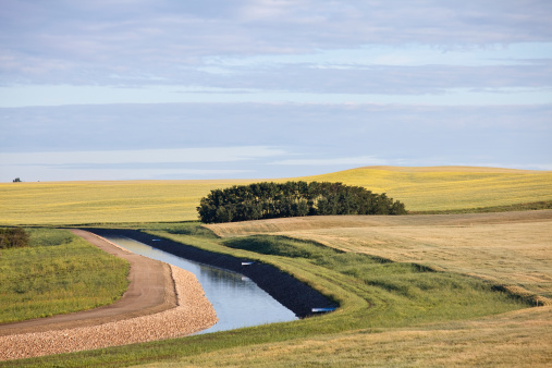 A man made irrigation canal on the prairie. Drainage ditch or agricultural irrigation canal in Alberta, Canada. Water issues and agriculture go hand in hand. This waterway is fed by the Bow River in Southwest Calgary and moves water to the rolling fields east of the city limits. 