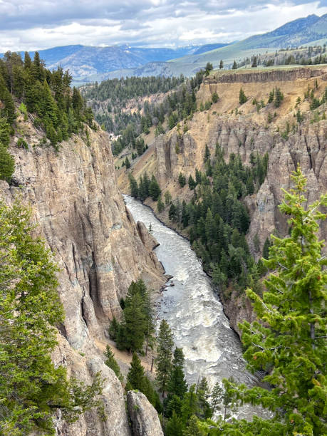 istock Grand Canyon of Yellowstone 1757964872