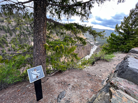 View of Lower Falls and the yellow canyon walls.
The Yellowstone River has carved down more than 1,000 feet to create the Grand Canyon of the Yellowstone