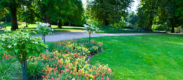 Summer flowerbeds in Gothenburg botanical garden