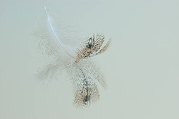 istock detail of a pen 175797623