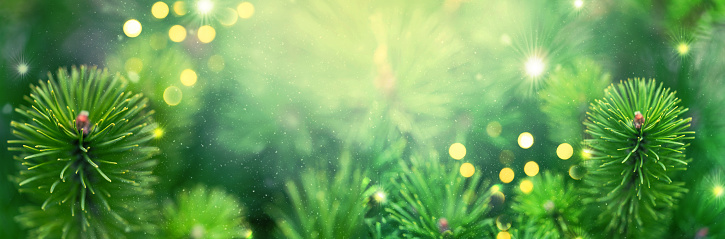 Closeup of Christmas tree background with christmas lights and snowflakes. New year holiday background