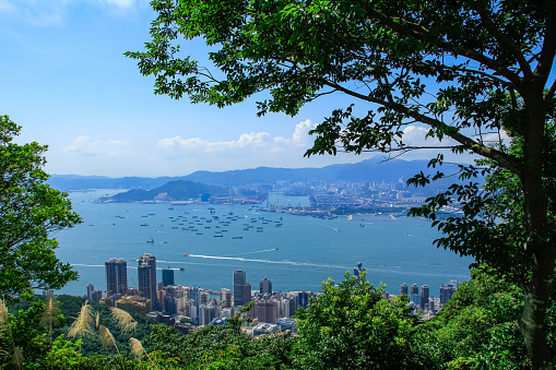 High angle view of Hong Kong cityscape and Victoria Harbour in mountains with green plants in the foreground. Travel scene and landscape and cityscape.