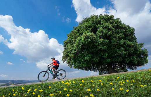 active senior woman cycling with her electric mountain bike below a huge old stone oak treein the awesome landscapes of Tuscany, Italy