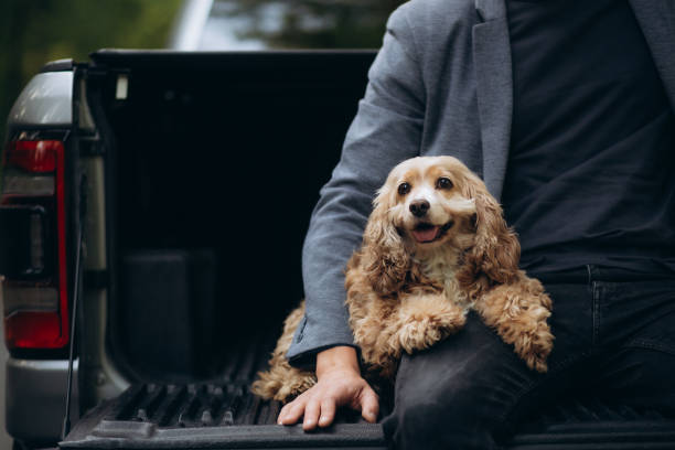 istock a cocker spaniel dog hugs the owner's leg 1758009152