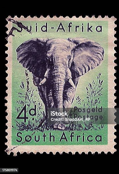 South Africa Postage Stamp African Elephant 1954 Stock Photo - Download Image Now - Large, Postage Stamp, South Africa