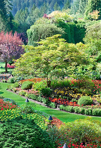 istock Sunken Garden at Butchart Gardens, Central Saanich, British Colu 175801991