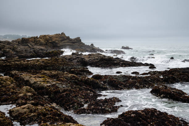 Rocky shoreline on an overcast day A Rocky shoreline on an overcast day bean hollow beach stock pictures, royalty-free photos & images