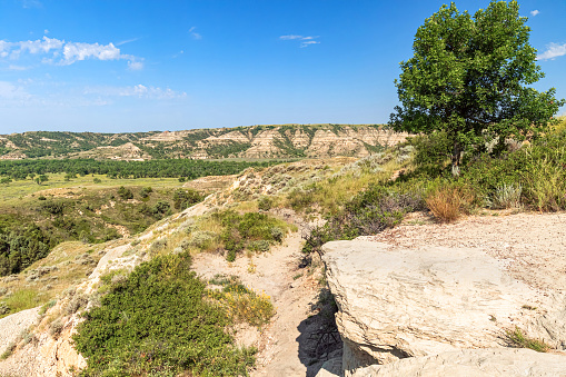 North Dakota Theodore Roosevelt National Park panoramic landscape view from the top of a butte overlooking hills, forest and Little Missouri River in the distance.
