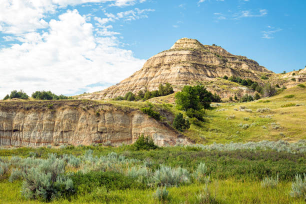 Theodore Roosevelt National Park meadow and hills