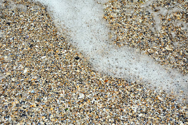 istock Sea surf on shell and pebble stone background 175804054