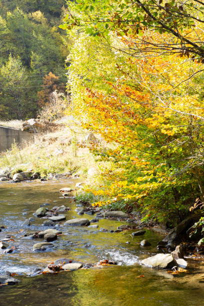 istock Autumn landscape with a waterfall on the river in the forest. 1758045983