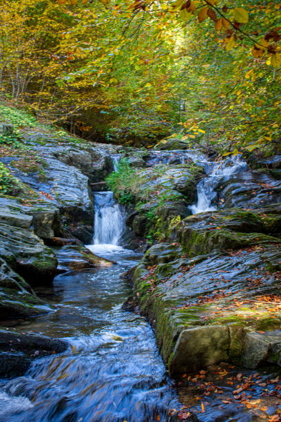 istock Autumn landscape with a waterfall on the river in the forest. 1758046028
