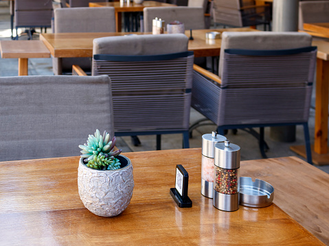 Table with small potted plant and salt and pepper set in empty cafe