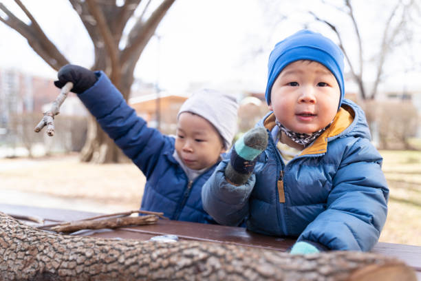 curious boys observe the texture of the tree trunk and gets close to nature stock photo