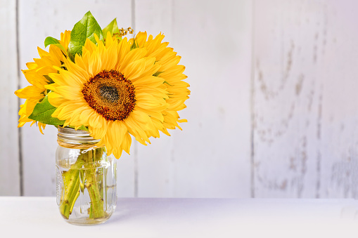 A bouquet of sunflowers in a glass vase and copy space