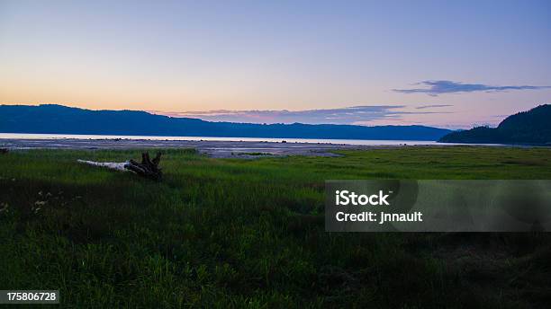 Photo libre de droit de Coucher De Soleil Sur La Plage Lac Fleuve Un Fjord Québec Canada Côte De Saguenay banque d'images et plus d'images libres de droit de Arbre