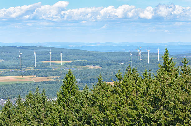istock Rolling landscape with wind turbines in background 175806928