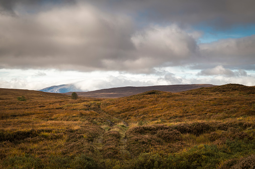 A autumnal HDR image of a stalking track in the landscape of Sutherland, Scotland, with Ben Hee in the background shrouded in cloud