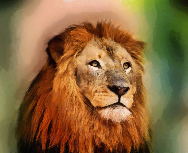 digital painting of  lion portrait