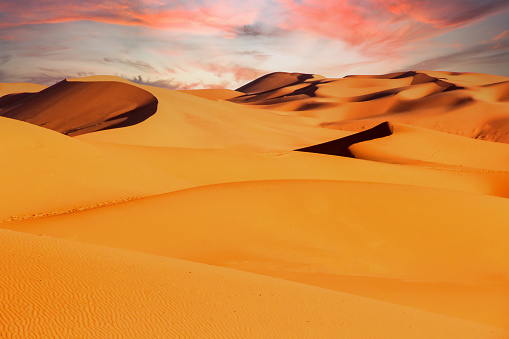 Fascinating view of the sand dunes during sunset in the Arabian desert