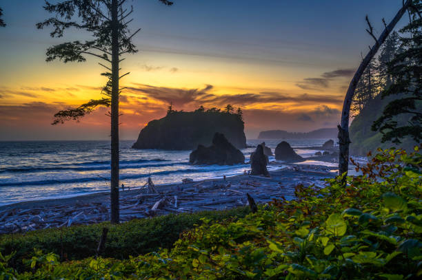 istock Colorful sunset at Ruby Beach in Olympic National Park, Washington state 1758094215