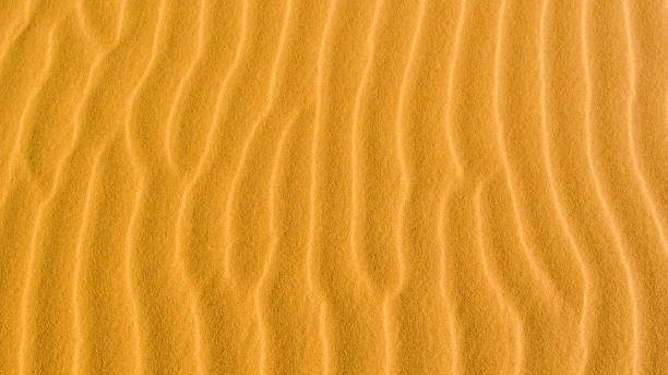 motif ondulé de sable brun - sahara desert coastline wind natural pattern photos et images de collection