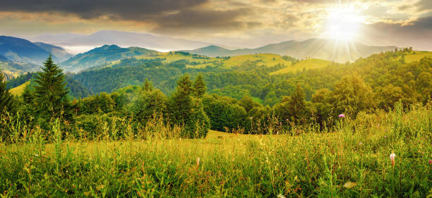 istock slope of mountain range with coniferous forest on a meadow at sunset 1758099476