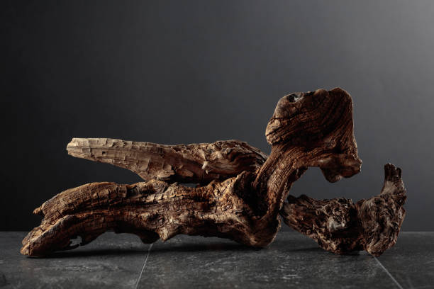 istock Old dry wooden snag on a black stone table. 1758110922